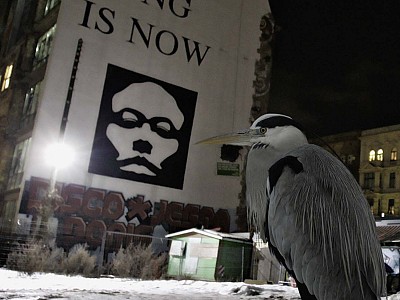 Combien de temps encore _